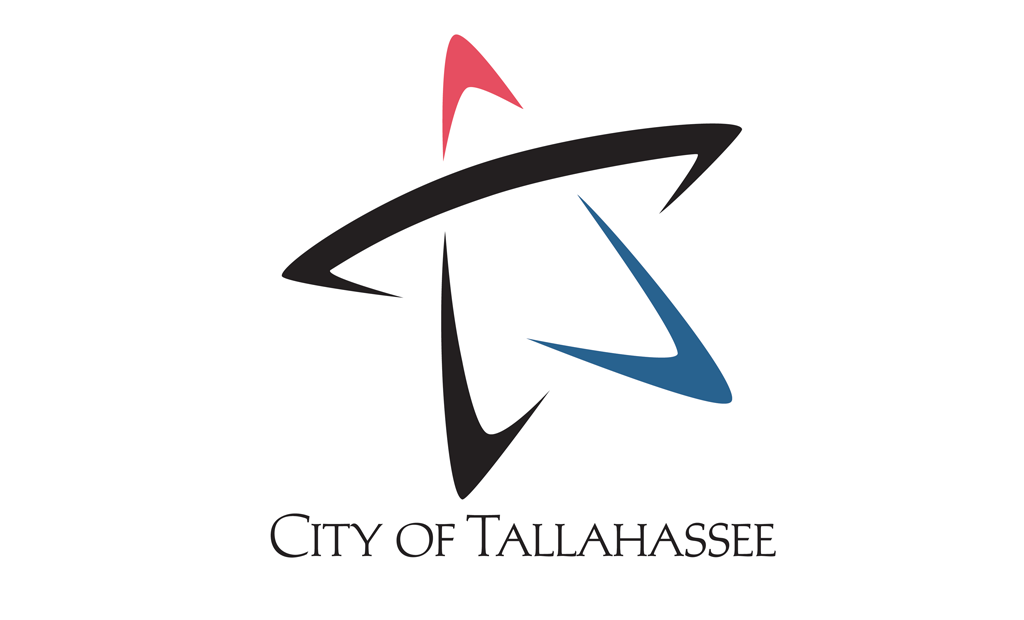 2002-2020, City Hall Silhouette Flag