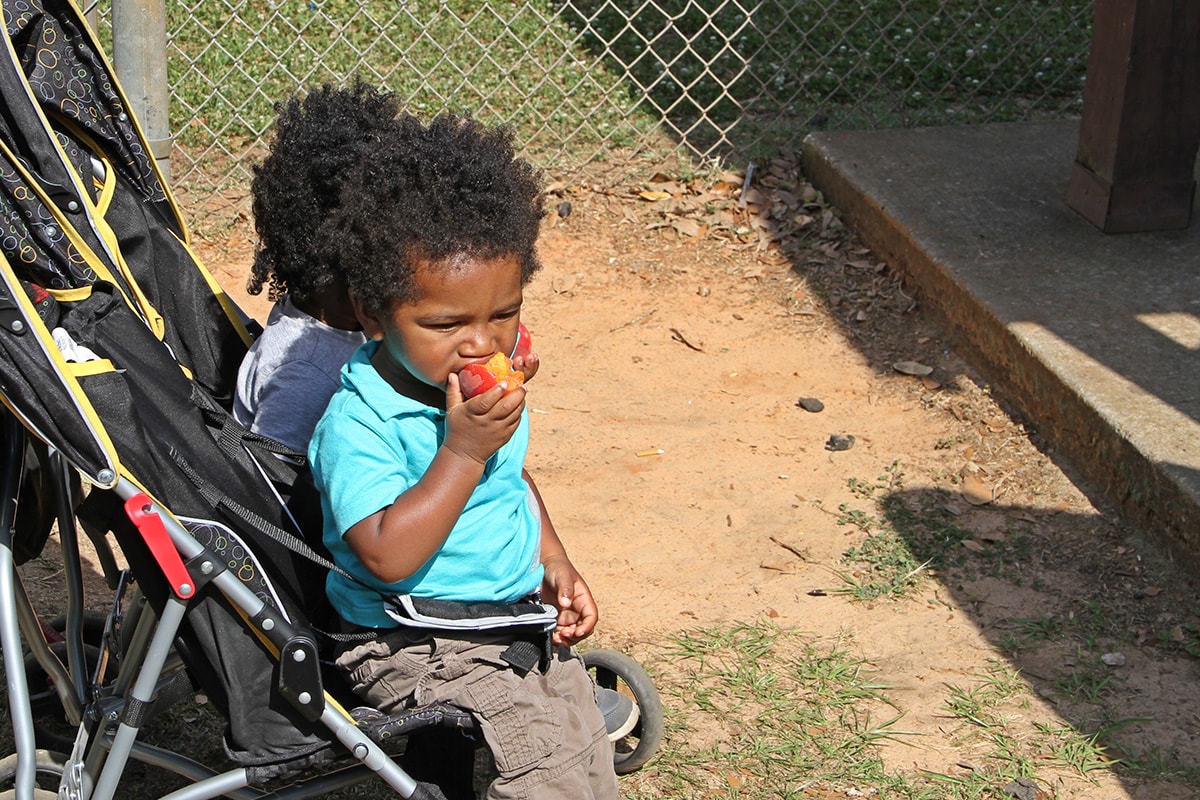 A young kid eating fruit