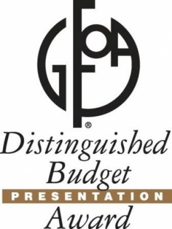 Government Finance Officers Association (GFOA) Distinguished Budget Award for  FY2019 Online Budget Report