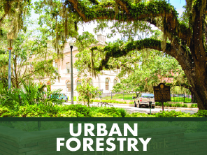 Urban Forestry