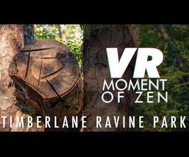 Moment of Zen Timberlane Ravine Park