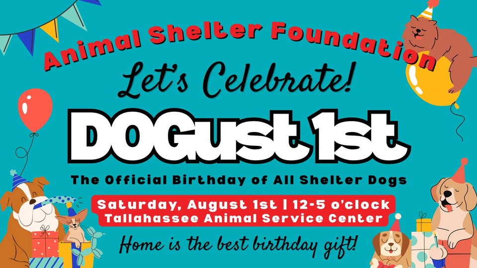 Dogust First Adoption Event