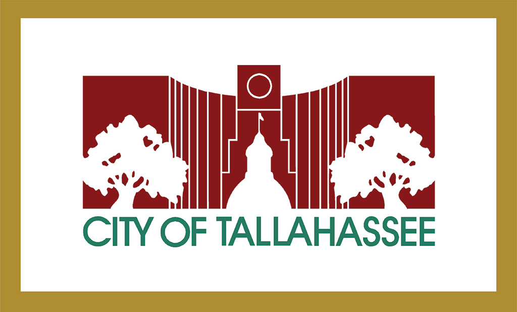 1986-2002, City Hall Silhouette Flag