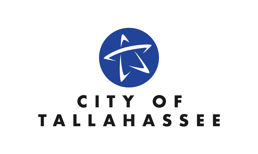 2020-current City Hall Flag