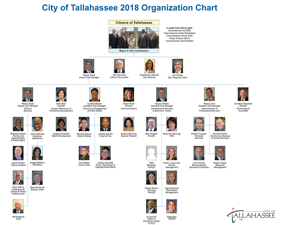 Fdep Organizational Chart