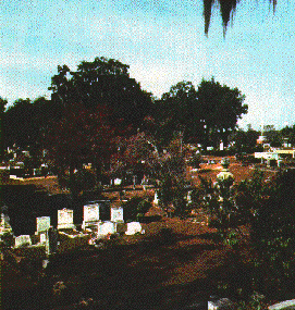 Tallahassee's Old City Cemetery - Photo Courtesy Sass Conservation